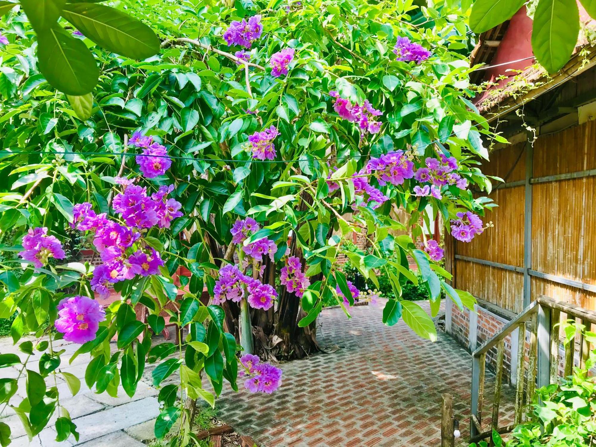 Lake Retreat Ninh Binh Exterior photo